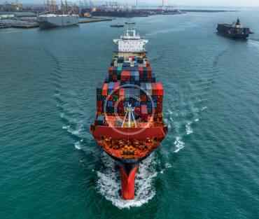 Young supply chains may stay out of this tendency